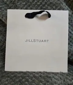 【美品】JILLSTUART★紙袋 ショップ袋★2枚セット