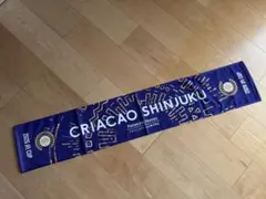 Item thumbnail for item 9bcf209f-1e14-4876-a48d-dcc12f37b4a0