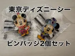 【新品未開封】東京ディズニーシー　ピンバッジ2個セット