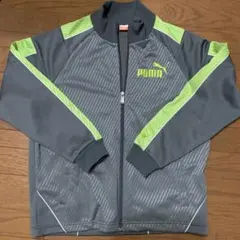 Item thumbnail for item 303754b1-a238-4907-bc4f-677cbbbc1045