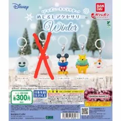 ディズニー めじるしアクセサリー Winter 4個セット