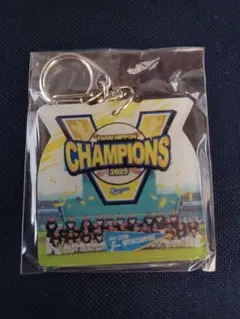 中日ドラゴンズ ファーム日本一 集合 アクリルキーホルダー ドラゴンズガチャ