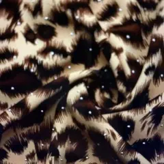 Item thumbnail for item 5f1d9d3e-260d-4615-887a-36a0ac1f56b8