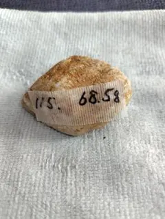 R.L様 リクエスト 2点 まとめ商品