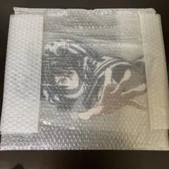 【佃煮のりお×新モデル3.0記念】F6号キャンバスアート＆B5アクリルパネル 佃煮のりお×新モデル3.0記念】F6号キャンバスアート＆B5アクリルパネル