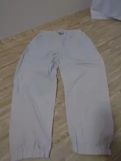 Item thumbnail for item 93954858-2abf-464f-b3e0-4f285764e664