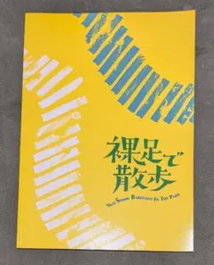 裸足で散歩　パンフレット　加藤和樹　高田夏帆　松尾貴史　戸田恵子