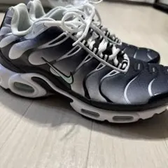 Nike Air Max Plus Seafoam 27.5cm