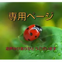 たいちゃま様専用ページ