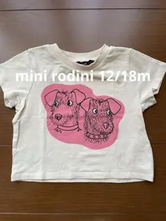 ミニロディーニ 12/18mのサムネイル