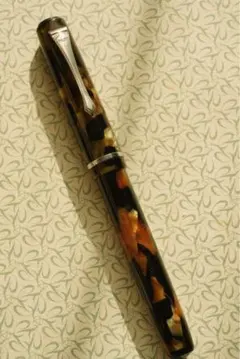 新品未使用 Stipula I Castoni Tigre 万年筆 M - メルカリ