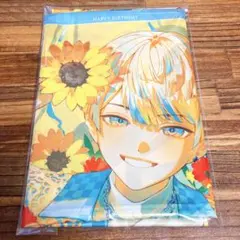 キュピパラ 布ポスター 布ポス タペストリー オトメイト夏の市2021