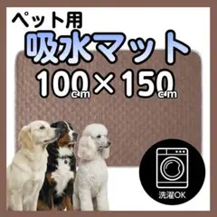 ペット用吸水マット XXL ブラウン ペットシート ペットマット 洗える 犬 猫のサムネイル