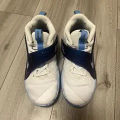 NIKE バッシュ21.5センチ