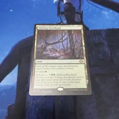 変容する森林 Shifting Woodland 英語