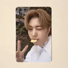 公式 ZB1 ソクマシュー トレカ