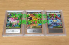 メガメガニウムex メガエンブオーex メガオーダイルex ARS10+