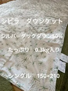 丸洗い可【シビラ】羽毛肌掛布団 ダウンケット（150×210）ルス　グリーン