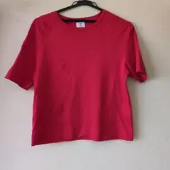 VERMEIL par iena  天竺Tシャツ　未使用品 VERMEIL par iena（ヴェルメイユパーイエナ） tシャツ 「一部店舗限定