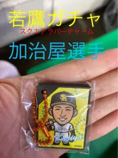 ソフトバンクホークス♡若鷹ガチャ スクエアラバーチャーム