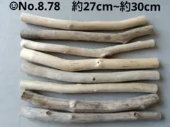 Item thumbnail for item 3ad0c5b2-e3a4-414b-93b4-c88449e5437e