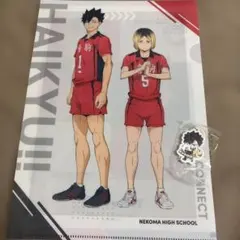 くら寿司 ビッくらポン クリアファイル&めじるしチャーム ハイキュー　音駒 黒尾