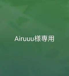 Airuuu様専用ページ
