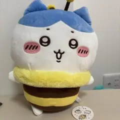 ちいかわハチワレ