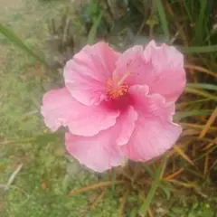 noburin様 リクエスト 3点 まとめ商品