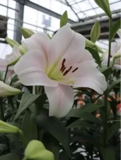 まー様 リクエスト 2点 まとめ商品