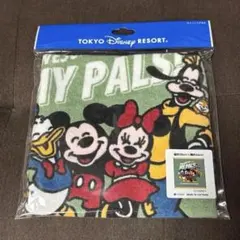 東京ディズニーリゾート ウォッシュタオル