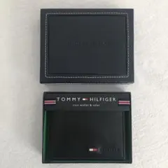 Item thumbnail for item d203713b-5551-4f91-965e-4a72ac213481