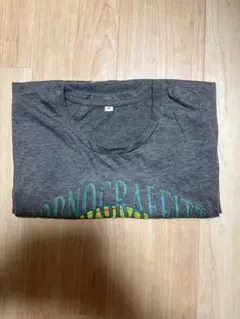 ポルノグラフィティ　サマー　Tシャツ
