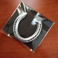 【本物の蹄鉄】馬蹄