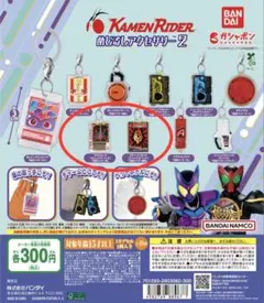 仮面ライダー めじるしアクセサリー2