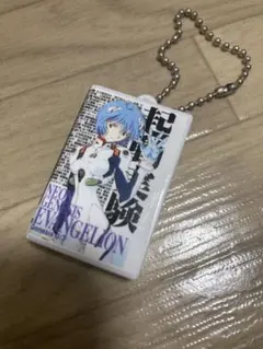 エヴァンゲリオン レイ・アヤナミ ビデオテープミニチュアチャームコレクション