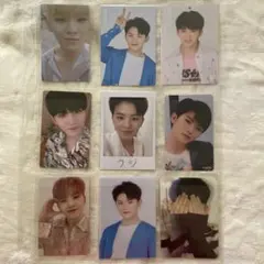 ウジ 9枚セット