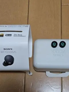 SONY WF-1000XM5 交換用イヤーピース M サイズのサムネイル