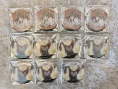 家庭教師ヒットマンREBORN！　沢田綱吉　ラッキー缶バッジ まとめ売り