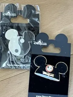 香港ディズニーランド ピンバッジ 2種セット
