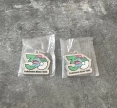 ポケモン 30周年 メタルチャーム 2個セット