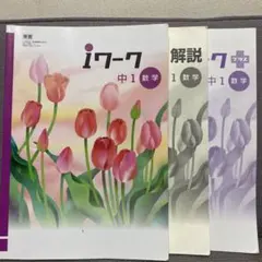 2026年最新】iワーク 中1 数学の人気アイテム - メルカリ