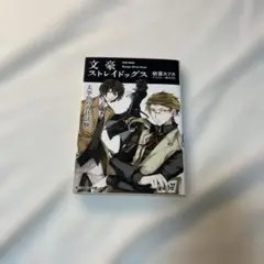 小説 文豪ストレイドッグス 朝霧カフカ