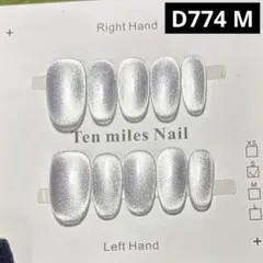 現品ネイルチップ　ショートオーバル　ワンカラーフラッシュマグネットツヤライブ大人