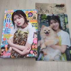 2026年最新】日比谷萌甘の人気アイテム - メルカリ