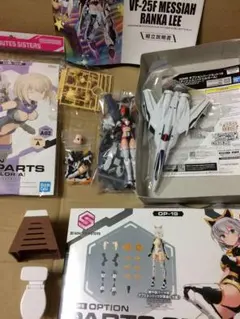 プレバン限定】HG 1/144 MS-09RS アナベル・ガトー専用リック・ドム