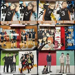 はつゆきさくら 2012 ビジュアルファンブック ポスター - メルカリ