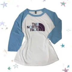 【Y2K】THE NORTH FACE ラグラン　ロンt 短丈