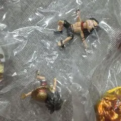 ワンピの実 グランドカプセルvol.2 special color