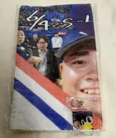 東京ヤクルトスワローズ 丸山和郁 つば九郎 タオル キーホルダー ぱちりタオル